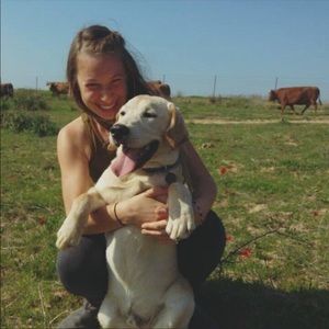 Meet your Posher, Analise